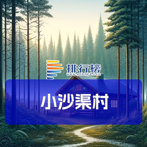 小沙渠村